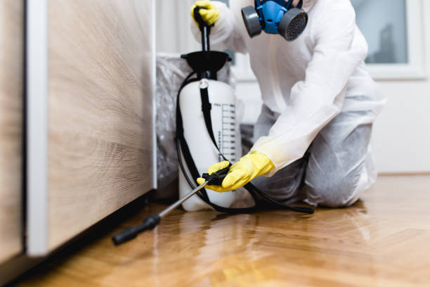 Best Exterminator Services  in Mion, AR