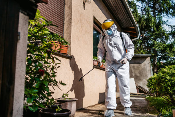 Best Local Pest Control Services  in Mion, AR