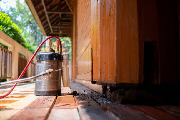 Best Pest Prevention Services  in Mion, AR