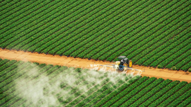 Best Pest Inspection Near Me  in Mion, AR