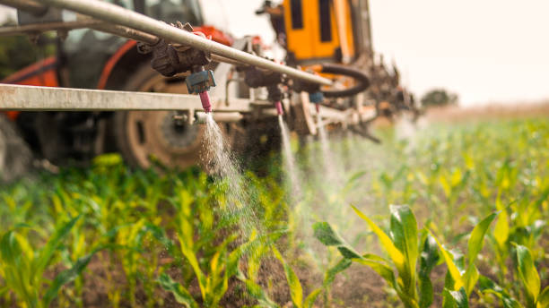 Best Commercial Pest Control Services  in Mion, AR